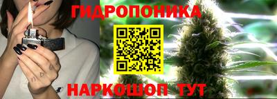 a pvp Кандалакша