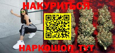 a pvp Кандалакша