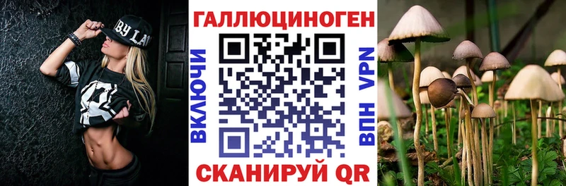 Галлюциногенные грибы MAGIC MUSHROOMS  где продают наркотики  Назарово 