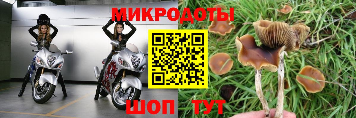 Псилоцибиновые грибы прущие грибы Назарово